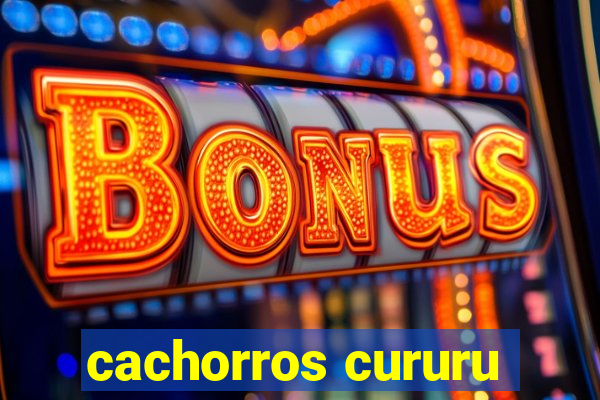 cachorros cururu